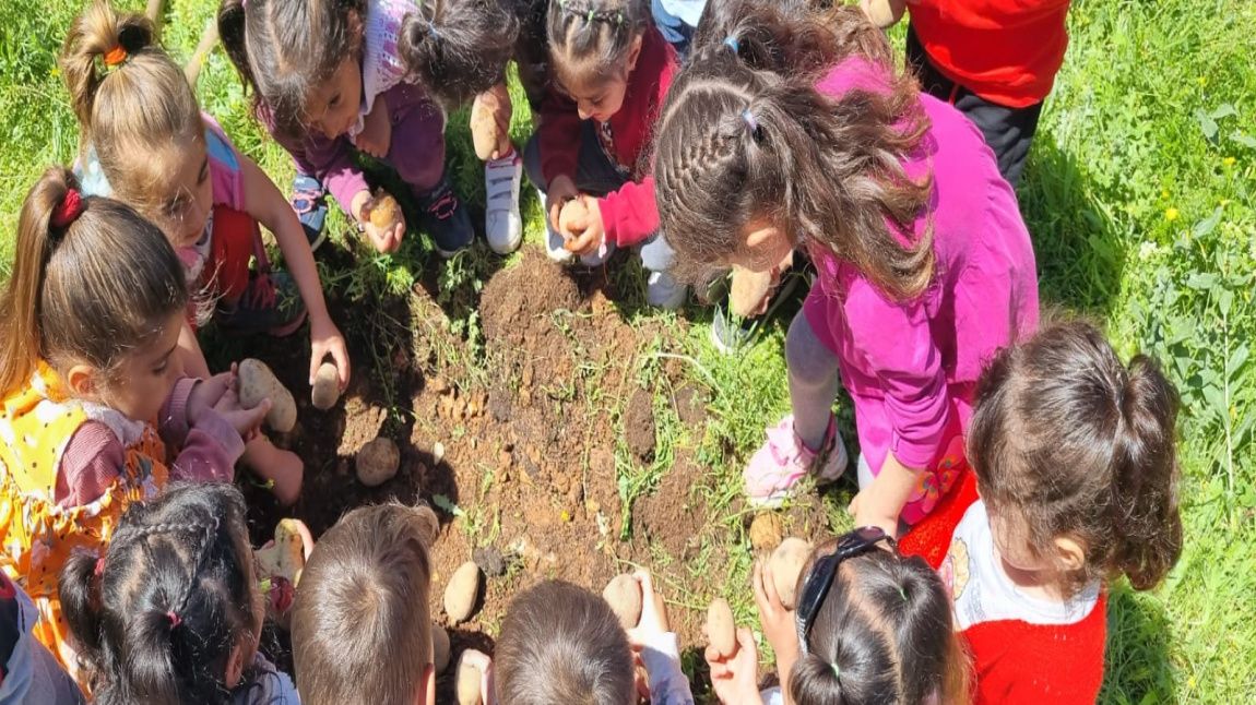 Okulumuzda Çevre Düzenlemesi Çalışmaları KapsamInda Diktiğimiz Ağaçlarımız Çocuklarımız ile Beraber Büyüyecek